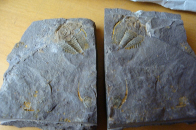 52920201_732500240.jpg