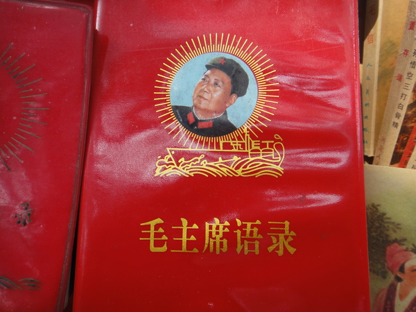 DSC01982_调整大小.JPG