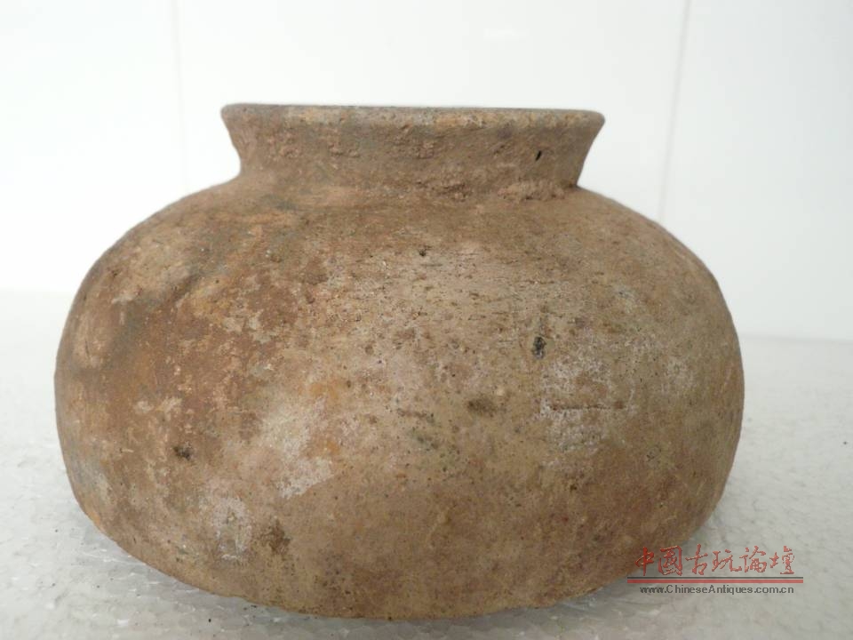 244.jpg