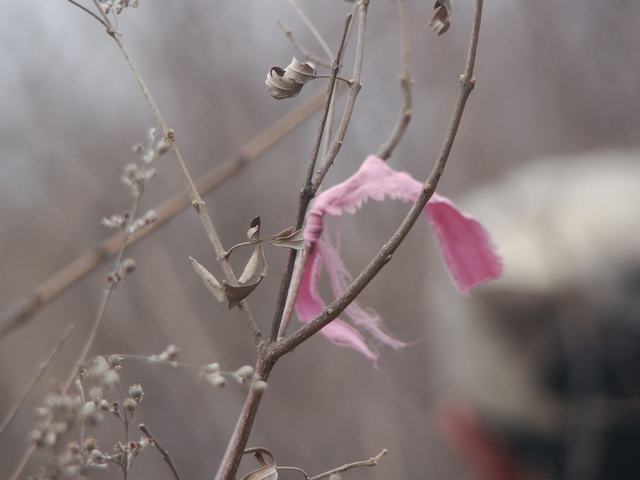DSC03014.JPG