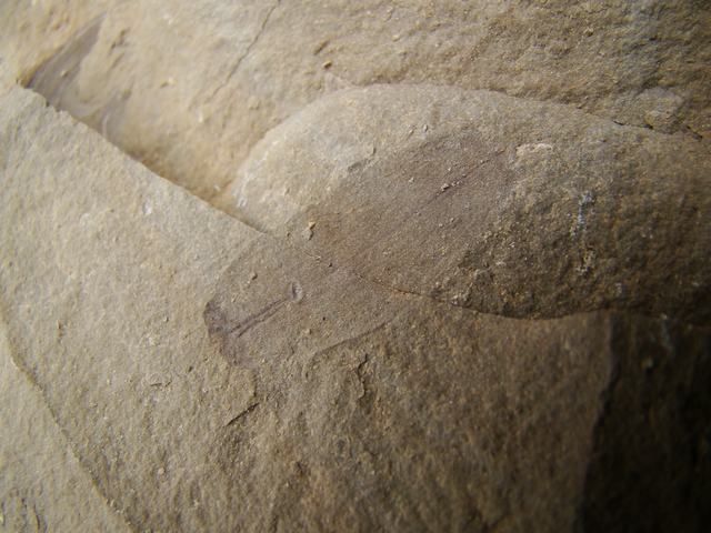 DSC03035.JPG