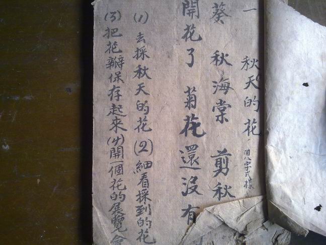 枢29111.jpg