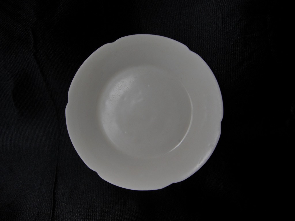 DSC04518.jpg
