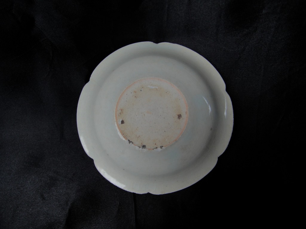 DSC04521.jpg
