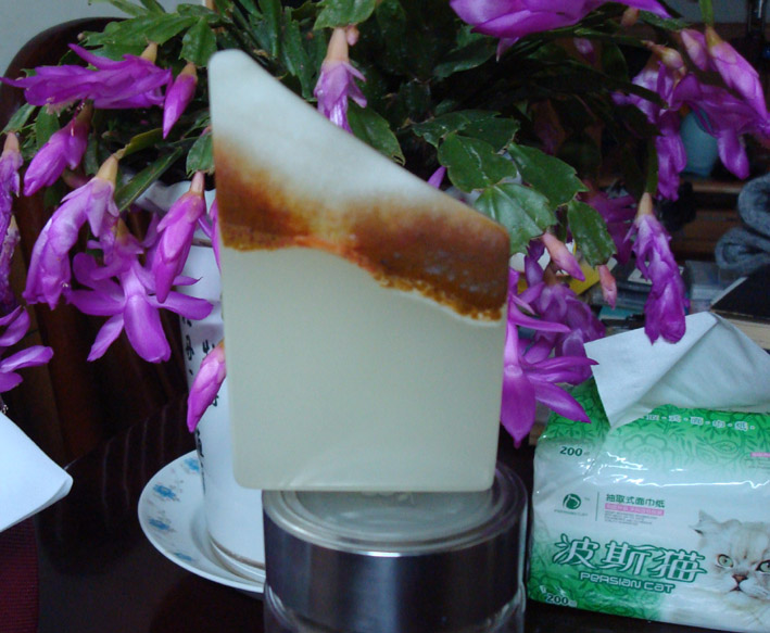 DSC01015.jpg