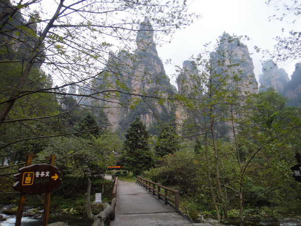这条路就是化石路