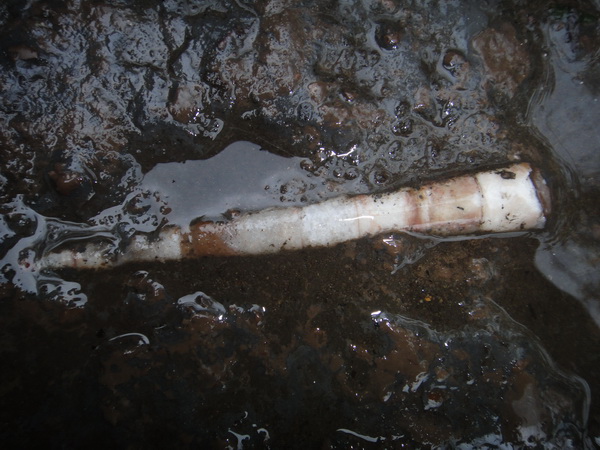 DSC02403_调整大小.JPG