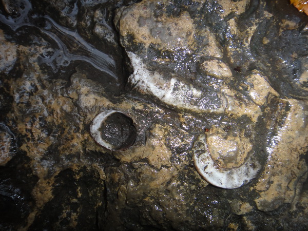 DSC02405_调整大小.JPG