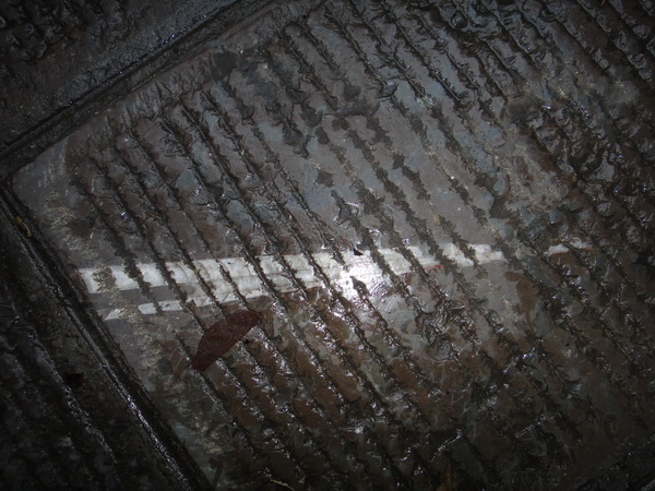 DSC02406_调整大小.JPG