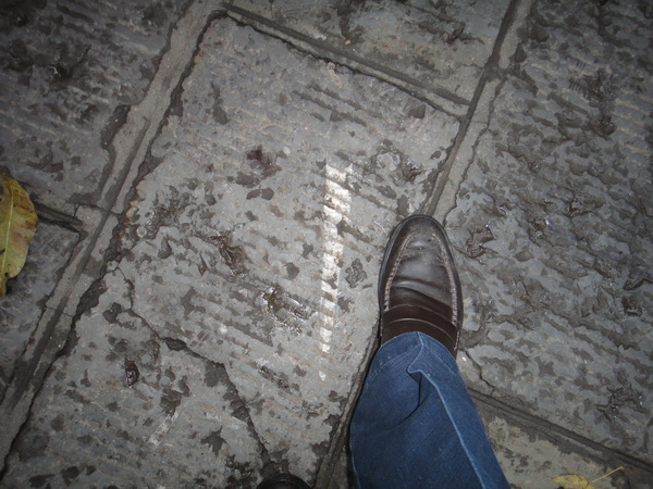 DSC02408_调整大小.JPG