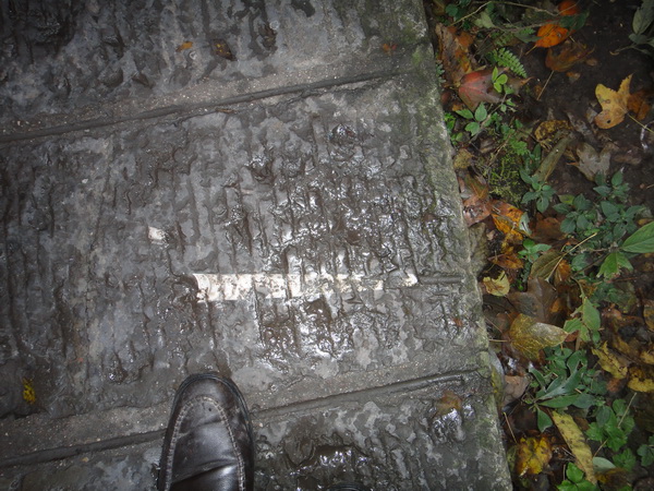 DSC02409_调整大小.JPG
