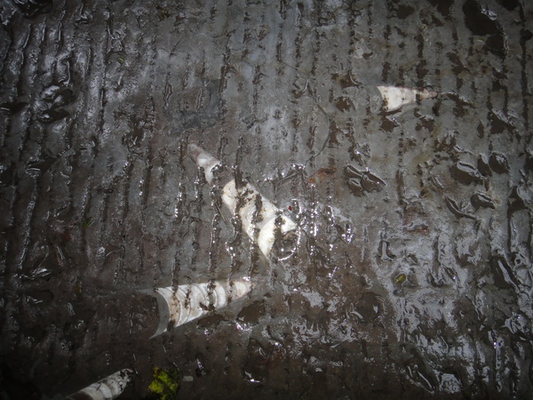 DSC02410_调整大小.JPG
