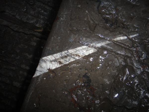 DSC02411_调整大小.JPG