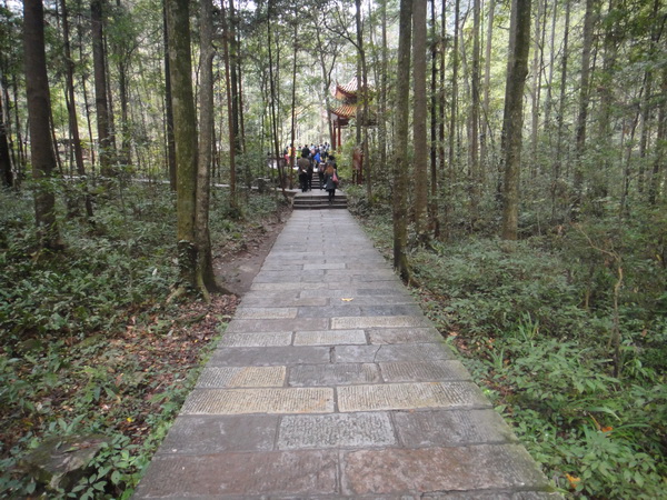 DSC02412_调整大小.JPG