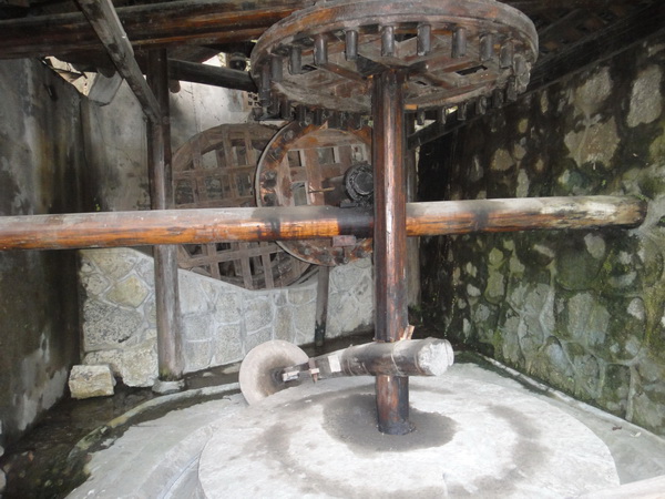 DSC02594_调整大小.JPG