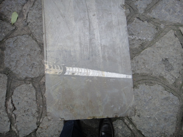 DSC02419_调整大小.JPG