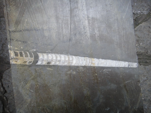 DSC02420_调整大小.JPG
