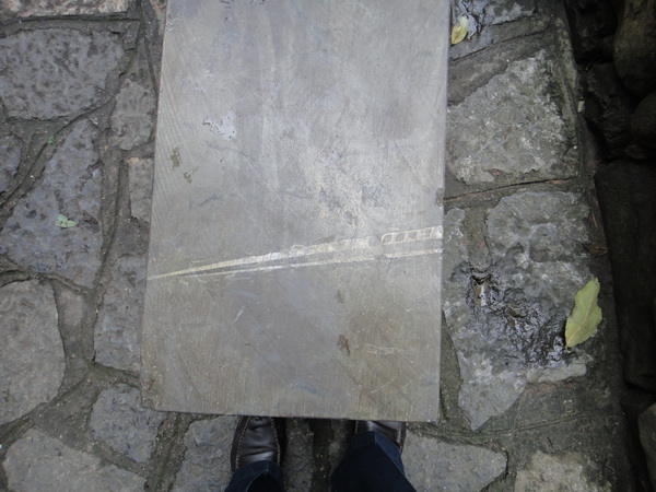 DSC02421_调整大小.JPG