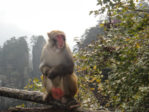 DSC02500_调整大小.JPG