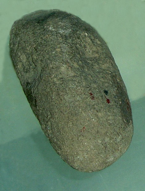 石器1（北京人、动物馆）.JPG