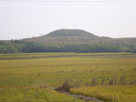 DSC09228.jpg