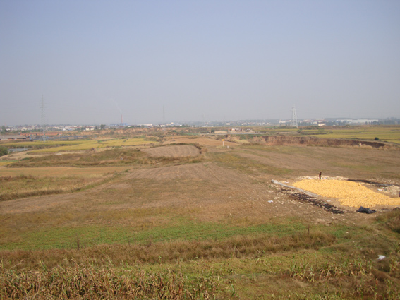 DSC09238.jpg