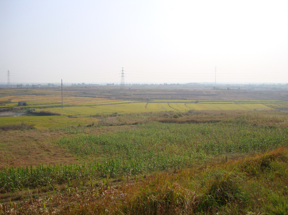 DSC09240.jpg