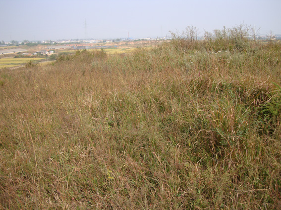 DSC09236.jpg