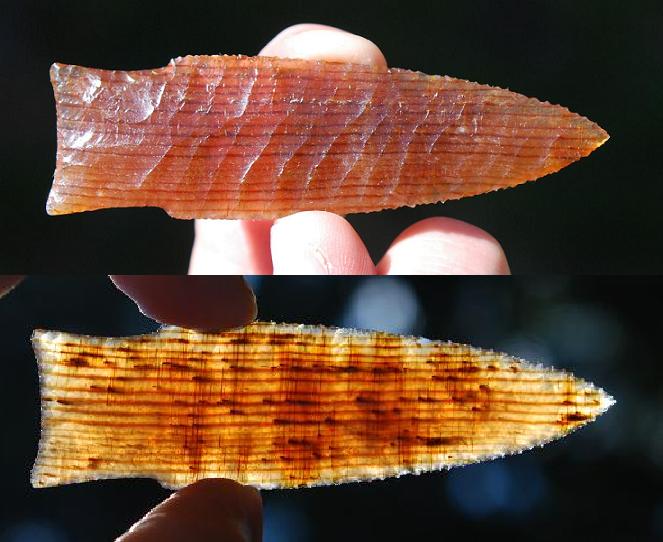Holland Style - Agatized Wood from Vantage, Washington.JPG
