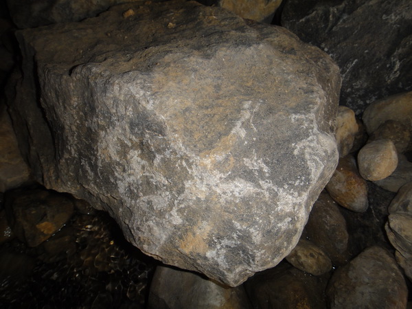 DSC02666_调整大小.JPG