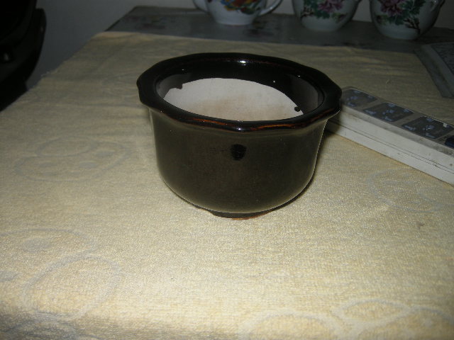 DSCN5065.JPG
