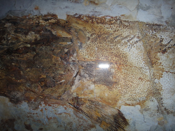 DSC02692_调整大小.JPG