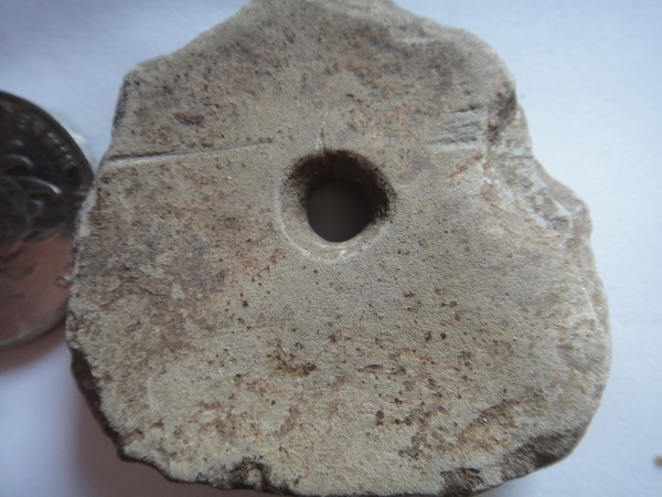 DSC02699_调整大小.JPG