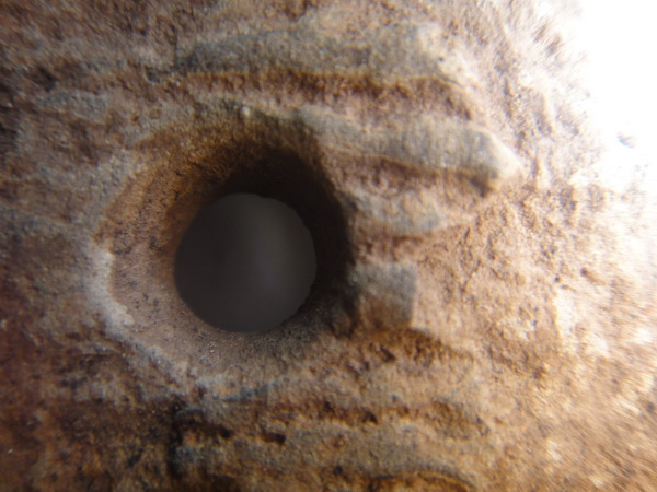DSC02700_调整大小.JPG