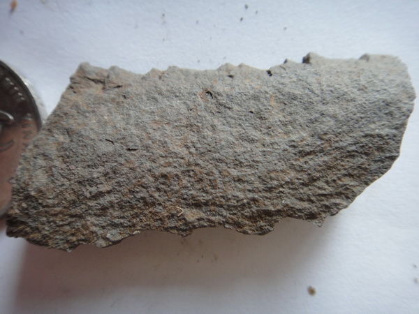 DSC02702_调整大小.JPG