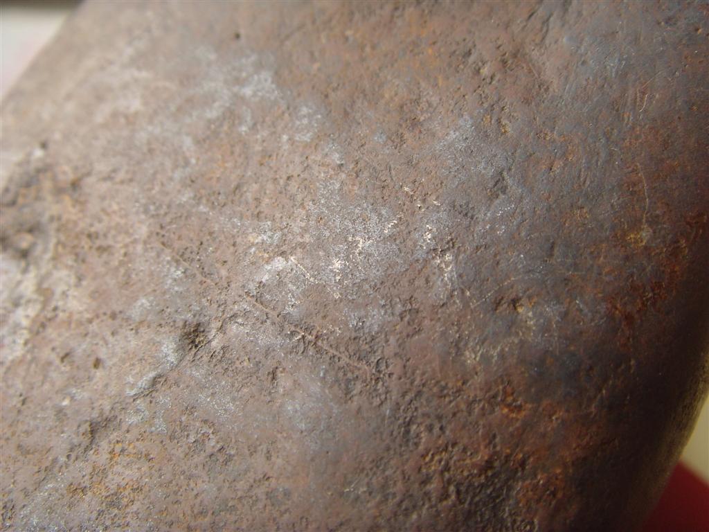 SNV33115.JPG