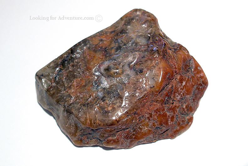 140 Million year old Petrified  Dinosaur Dung (Coprolite).jpg