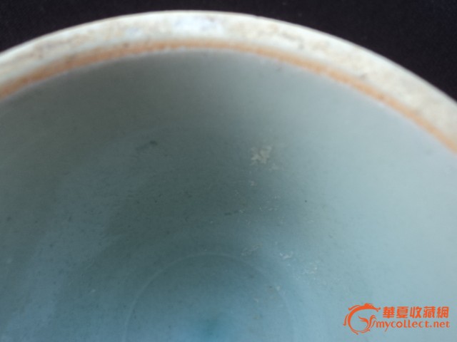 201105101043002449766.JPG
