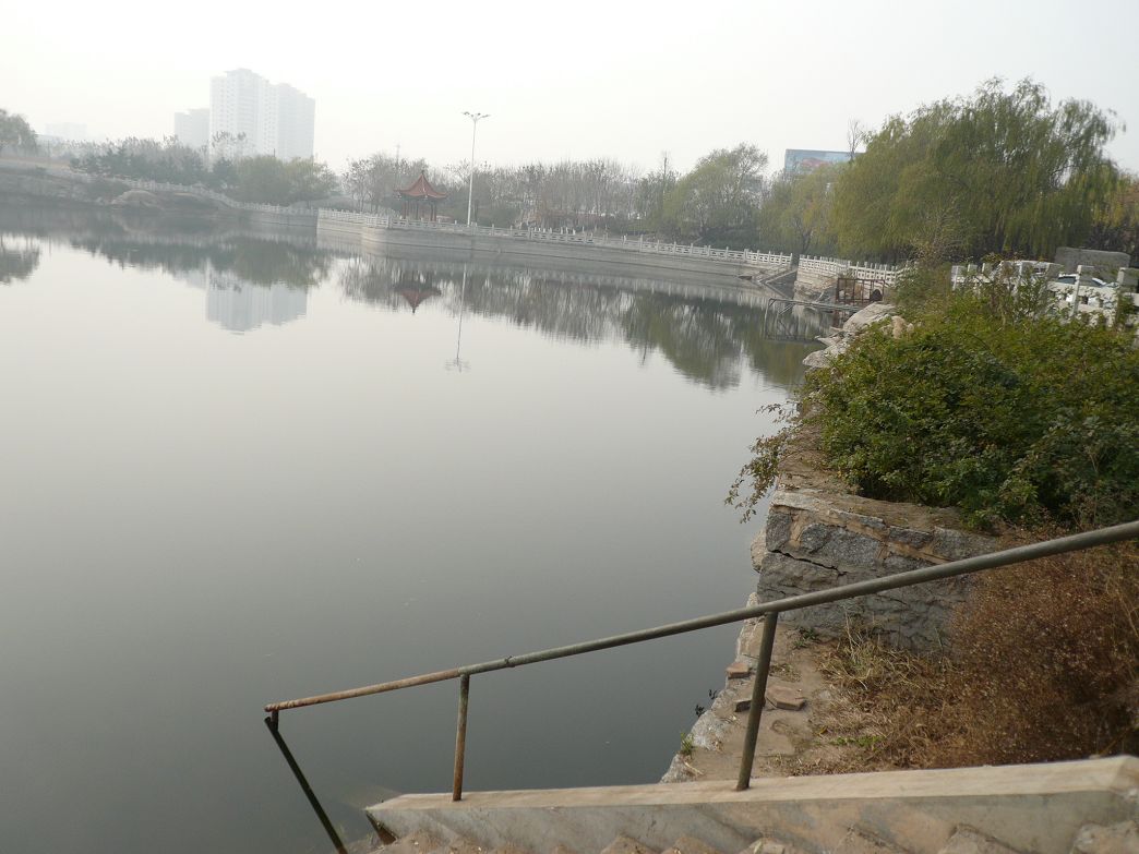 P1270776.JPG