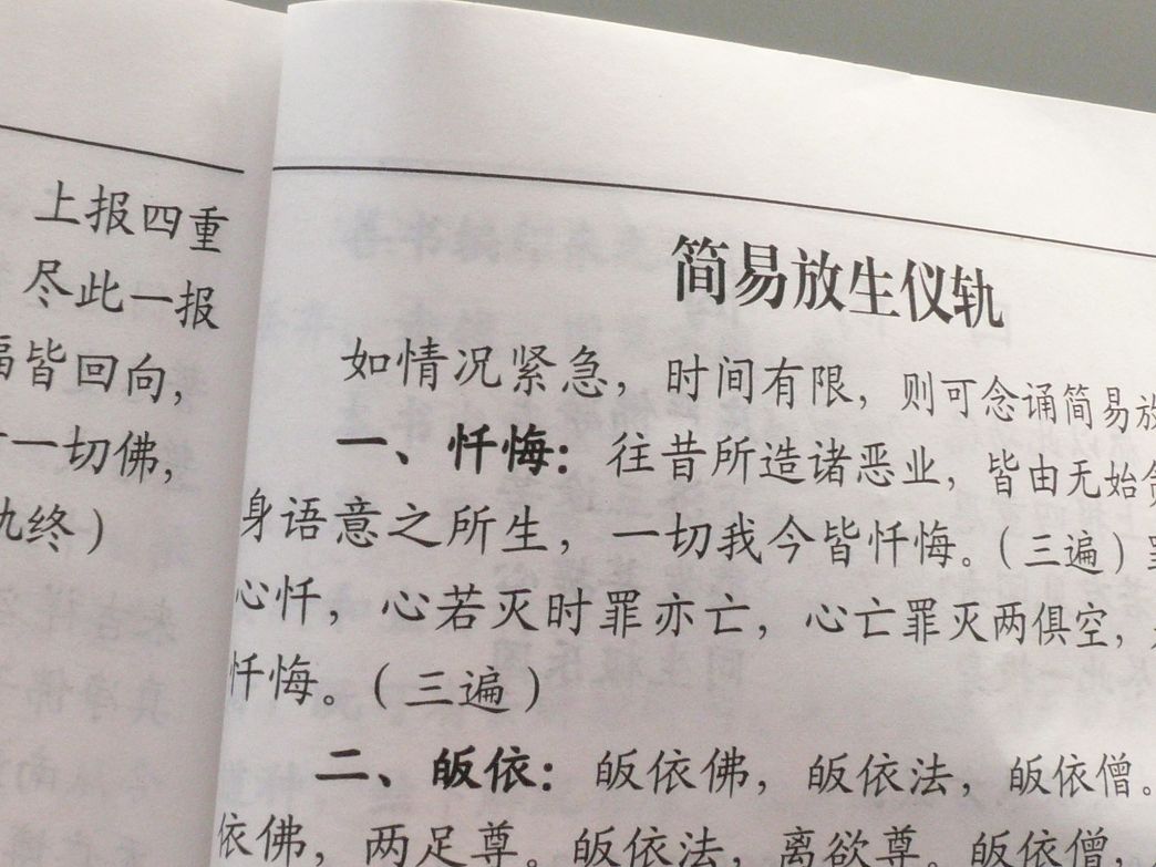 P1280742.JPG
