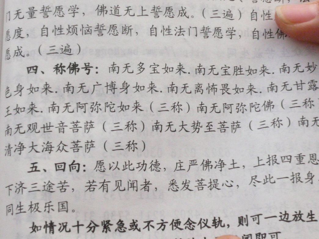 P1280744.JPG