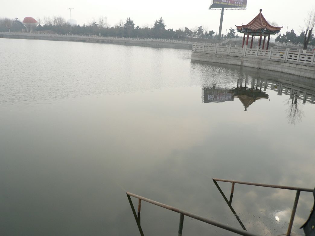 P1280767.JPG