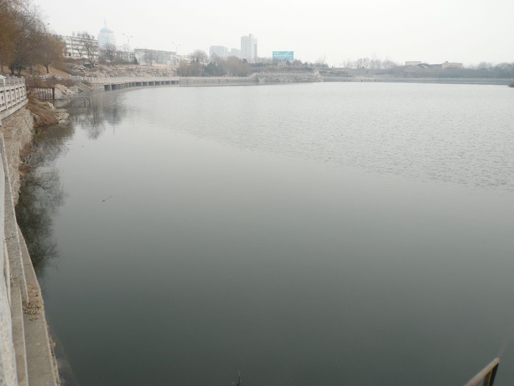 P1280768.JPG