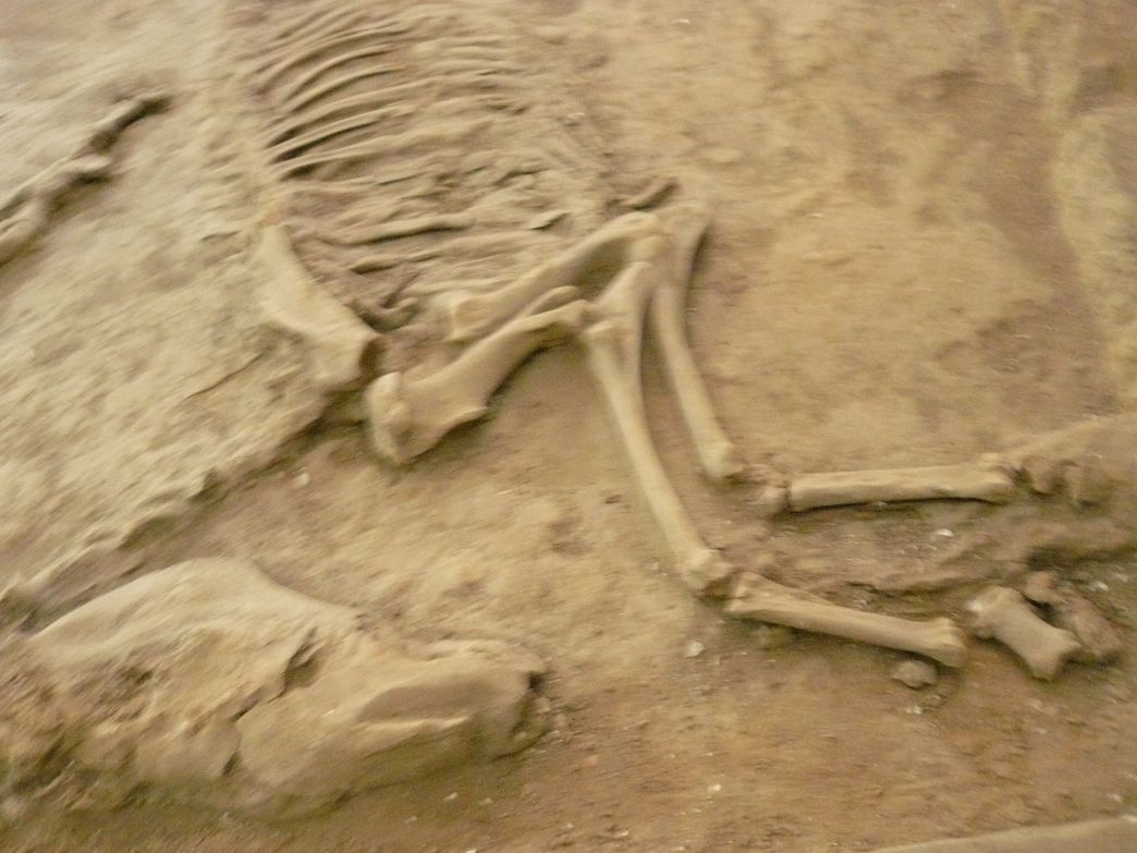 P1280600.JPG