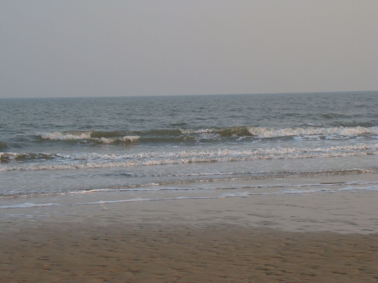 DSC06531.JPG