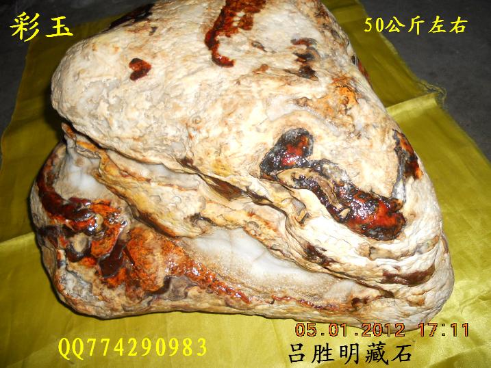 DSCN0542.JPG