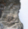 父母照片 059-1.jpg