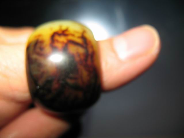调整大小 照片 084.jpg