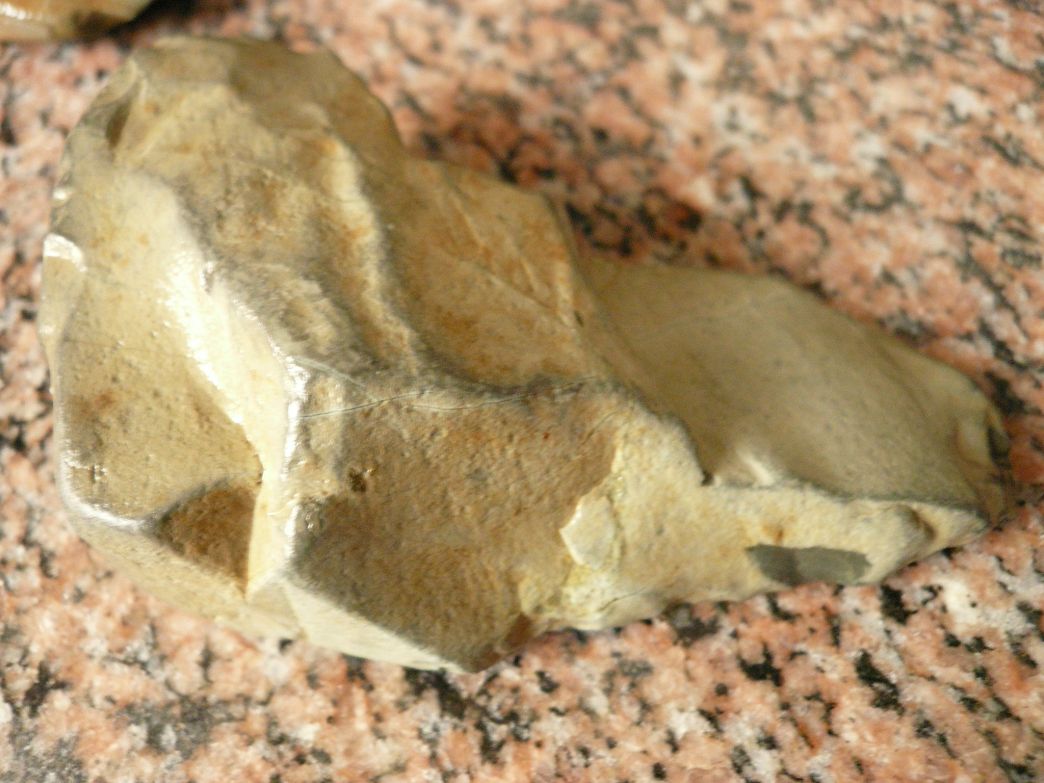 P1290554.JPG