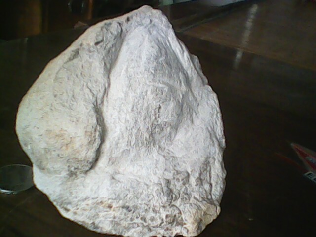 IMG0055A.jpg
